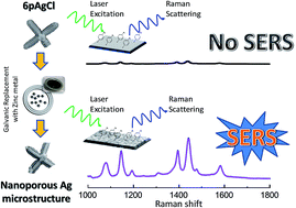 Graphical abstract: Nanoporous silver microstructure for single particle surface-enhanced Raman scattering spectroscopy