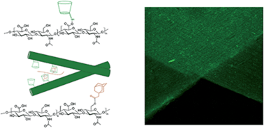 Graphical abstract: Ordered, adherent layers of nanofibers enabled by supramolecular interactions