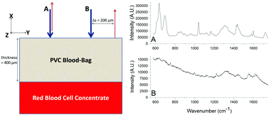 Graphical abstract: Non-invasive spectroscopy of transfusable red blood cells stored inside sealed plastic blood-bags