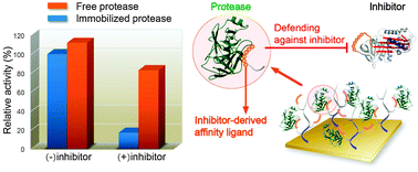 Graphical abstract: Surface immobilization of a protease through an inhibitor-derived affinity ligand: a bioactive surface with defensive properties against an inhibitor