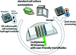 Graphical abstract: User-friendly 3D bioassays with cell-containing hydrogel modules: narrowing the gap between microfluidic bioassays and clinical end-users' needs