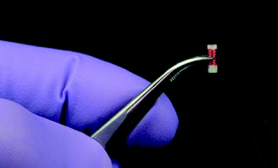 Graphical abstract: Miniaturized, biopsy-implantable chemical sensor with wireless, magnetic resonance readout