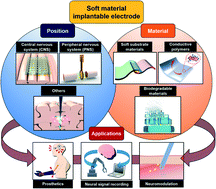 Graphical abstract: Soft implantable microelectrodes for future medicine: prosthetics, neural signal recording and neuromodulation