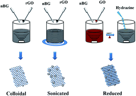 Graphical abstract: Reduced graphene oxide/nano-Bioglass composites: processing and super-anion oxide evaluation