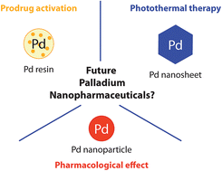 Graphical abstract: Palladium: a future key player in the nanomedical field?