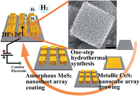 Graphical abstract: Amorphous Co-doped MoS2 nanosheet coated metallic CoS2 nanocubes as an excellent electrocatalyst for hydrogen evolution
