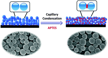Graphical abstract: Robust anti-reflective silica nanocoatings: abrasion resistance enhanced via capillary condensation of APTES