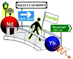 Graphical abstract: Controlling Nd-to-Yb energy transfer through a molecular approach