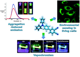 Graphical abstract: A fluorescent molecular rotor showing vapochromism, aggregation-induced emission, and environmental sensing in living cells