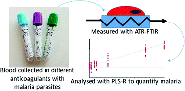Graphical abstract: The effect of common anticoagulants in detection and quantification of malaria parasitemia in human red blood cells by ATR-FTIR spectroscopy