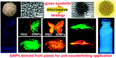 Graphical abstract: Plant-derived fluorescent silicon nanoparticles featuring excitation wavelength-dependent fluorescence spectra for anti-counterfeiting applications