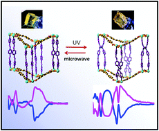 Graphical abstract: Controlled formation of chiral networks and their reversible chiroptical switching behaviour by UV/microwave irradiation