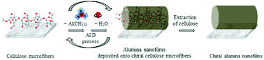 Graphical abstract: Chiral templating of alumina nanofilms by the atomic layer deposition process