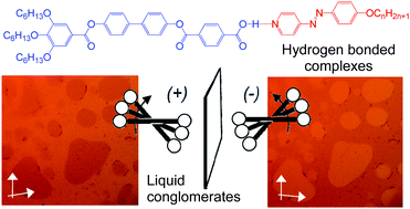 Graphical abstract: Mirror symmetry breaking in cubic phases and isotropic liquids driven by hydrogen bonding