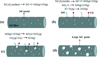 Graphical abstract: Formation mechanism of large SiC grains on SiC fiber surfaces during heat treatment