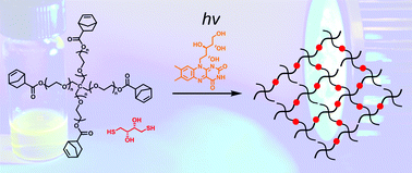 Graphical abstract: (−)-Riboflavin (vitamin B2) and flavin mononucleotide as visible light photo initiators in the thiol–ene polymerisation of PEG-based hydrogels