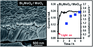 Graphical abstract: Photoelectrochemical water oxidation using a Bi2MoO6/MoO3 heterojunction photoanode synthesised by hydrothermal treatment of an anodised MoO3 thin film
