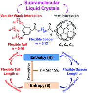 Graphical abstract: Controlling the enthalpy–entropy competition in supramolecular fullerene liquid crystals by tuning the flexible chain length