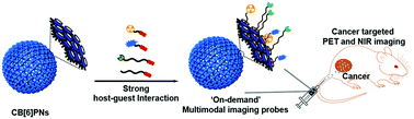 Graphical abstract: Cucurbit[6]uril-based polymer nanocapsules as a non-covalent and modular bioimaging platform for multimodal in vivo imaging