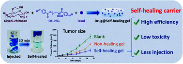 Graphical abstract: Improving tumor chemotherapy effect using an injectable self-healing hydrogel as drug carrier