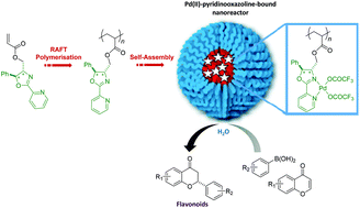 Graphical abstract: Palladium-polymer nanoreactors for the aqueous asymmetric synthesis of therapeutic flavonoids
