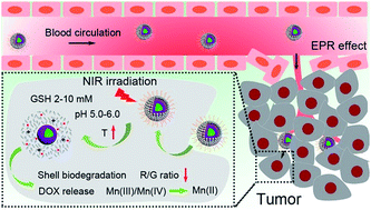 Graphical abstract: Bioresponsive and near infrared photon co-enhanced cancer theranostic based on upconversion nanocapsules
