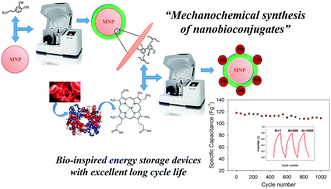 Graphical abstract: Mechanochemical design of hemoglobin-functionalised magnetic nanomaterials for energy storage devices