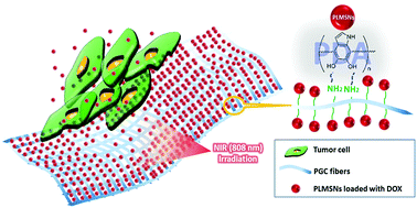 Graphical abstract: Enhanced cell uptake of fluorescent drug-loaded nanoparticles via an implantable photothermal fibrous patch for more effective cancer cell killing