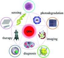 Graphical abstract: Advances in the integration of quantum dots with various nanomaterials for biomedical and environmental applications