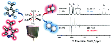 Graphical abstract: SABRE hyperpolarization enables high-sensitivity 1H and 13C benchtop NMR spectroscopy