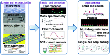 Graphical abstract: Recent advances in single cell manipulation and biochemical analysis on microfluidics