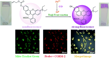 Graphical abstract: A mitochondria-targetable colorimetric and far-red fluorescent probe for the sensitive detection of carbon monoxide in living cells