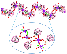 Graphical abstract: All inorganic coordination polymers have been made possible with the m-carboranylphosphinate ligand