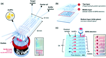 Graphical abstract: SERS-based droplet microfluidics for high-throughput gradient analysis