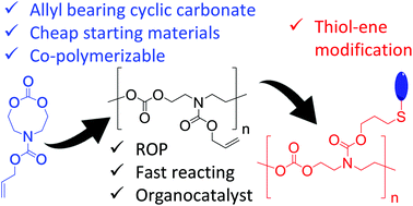 Graphical abstract: Efficient polymerization and post-modification of N-substituted eight-membered cyclic carbonates containing allyl groups