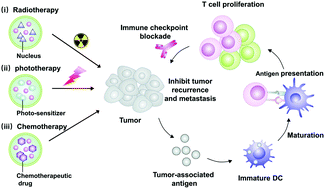 Graphical abstract: Local biomaterials-assisted cancer immunotherapy to trigger systemic antitumor responses