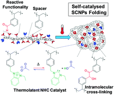 Graphical abstract: Self-catalysed folding of single chain nanoparticles (SCNPs) by NHC-mediated intramolecular benzoin condensation