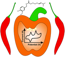 Graphical abstract: Electroanalytical overview: the pungency of chile and chilli products determined via the sensing of capsaicinoids