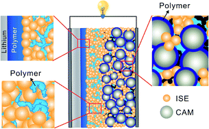 Graphical abstract: The role of polymers in lithium solid-state batteries with inorganic solid electrolytes