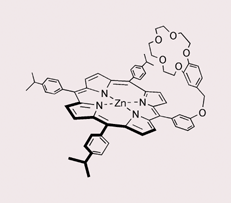 Graphical abstract: Ion pair recognition by Zn–porphyrin/crown ether conjugates: visible sensing of sodium cyanide