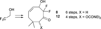 Graphical abstract: Rapid assembly of highly-functionalised difluorinated cyclooctenones via ring-closing metathesis