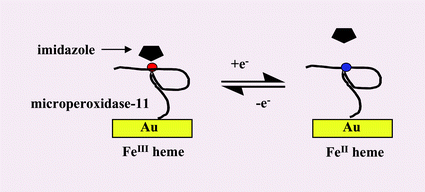 Graphical abstract: A model recognition switch. Electrochemical control and transduction of imidazole binding by electrode-immobilized microperoxidase-11
