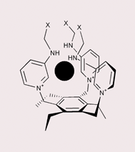 Graphical abstract: Anion sensing ‘venus flytrap’ hosts: a modular approach