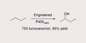 Graphical abstract: Butane and propane oxidation by engineered cytochrome P450cam