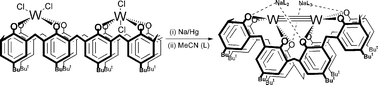 Graphical abstract: Novel tungsten calix[8]arene complexes