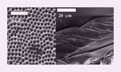 Graphical abstract: Nanotectonic approach of the texturation of CeO2 based nanomaterials