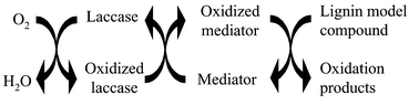 Graphical abstract: Oxidation of lignin model compounds by organic and transition metal-based electron transfer mediators