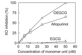 Graphical abstract: Oxidative coupling of epigallocatechin gallate amplifies antioxidant activity and inhibits xanthine oxidase activity