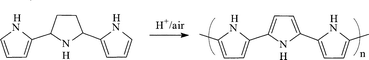 Graphical abstract: Formation of polypyrrole from 2,5-bis(2-pyrrolyl)pyrrolidine