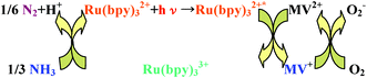Graphical abstract: Visible light decomposition of ammonia to dinitrogen by a new visible light photocatalytic system composed of sensitizer (Ru(bpy)32+), electron mediator (methylviologen) and electron acceptor (dioxygen)